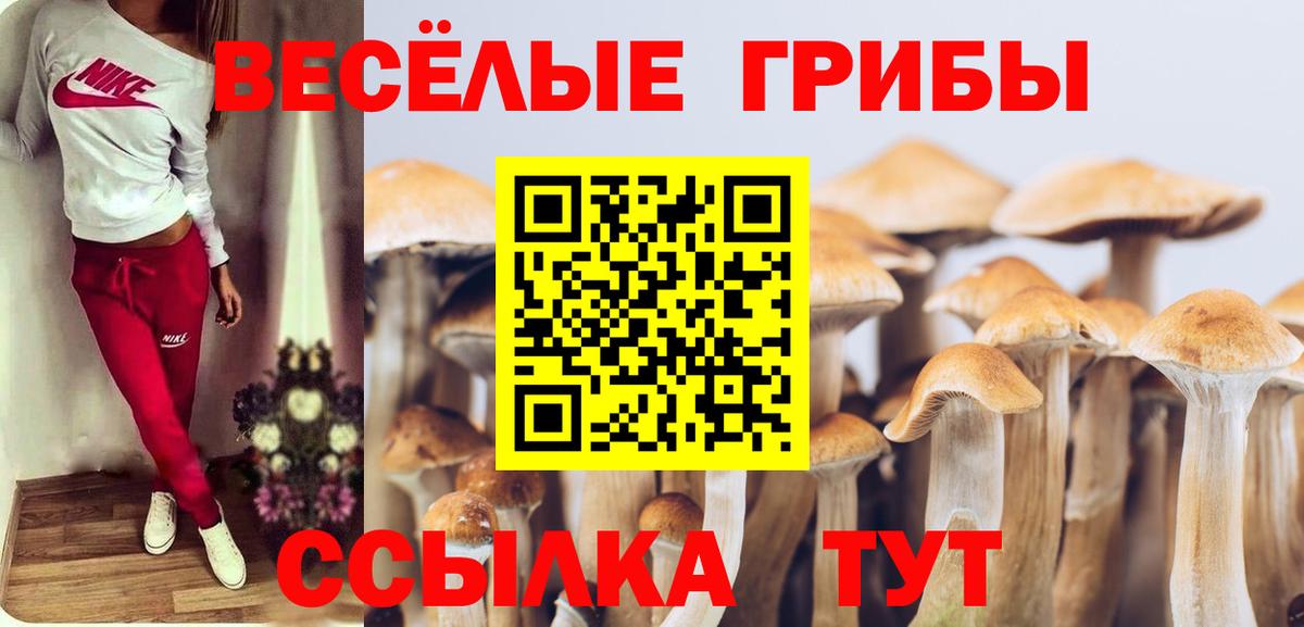 Галлюциногенные грибы мицелий Лыткарино