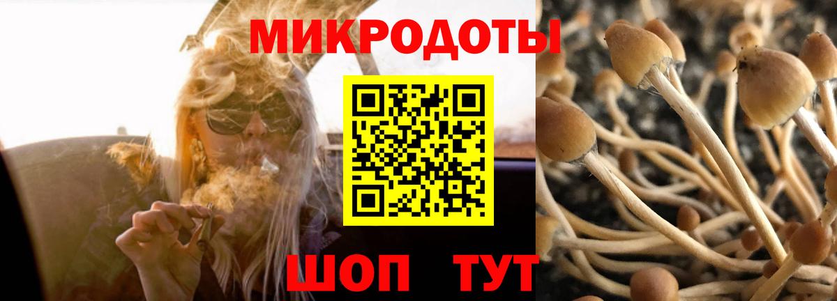 Лыткарино  Галлюциногенные грибы мицелий  Галлюциногенные грибы ЛСД  Вход с VPN 
